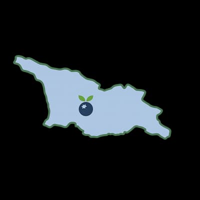 Georgia blueberry pin